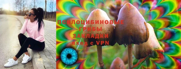 ГАЛЛЮЦИНОГЕННЫЕ ГРИБЫ Алексеевка