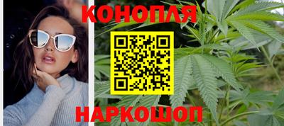 гашик Тулун
