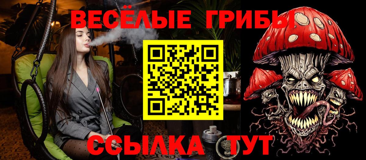 Новочеркасск  Псилоцибиновые грибы MAGIC MUSHROOMS  даркнет сайт  Галлюциногенные грибы Psilocybe  Вход с VPN 